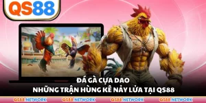 Đá Gà Cựa Dao - Những Trận Hùng Kê Nảy Lửa Tại QS88