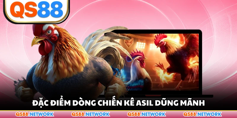 Đặc điểm dòng chiến kê Asil dũng mãnh