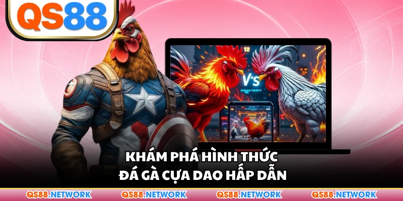 Khám phá hình thức đá gà cựa dao hấp dẫn