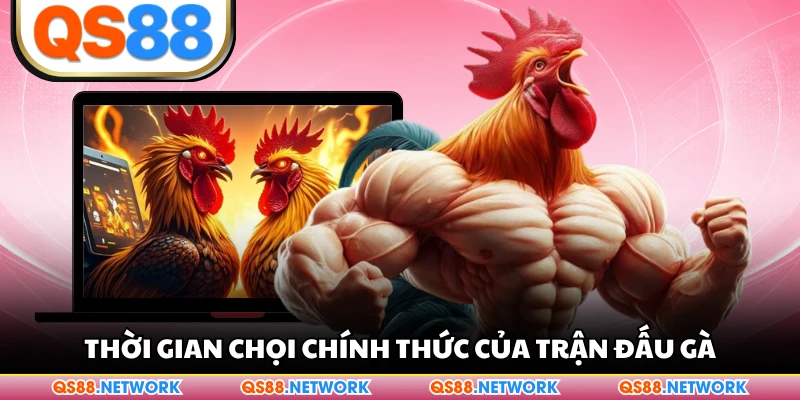 Thời gian chọi chính thức của trận đấu gà